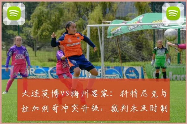 大连英博vs梅州客家:科特尼克与杜加利奇冲突升级,裁判未及时制止致场面失控?